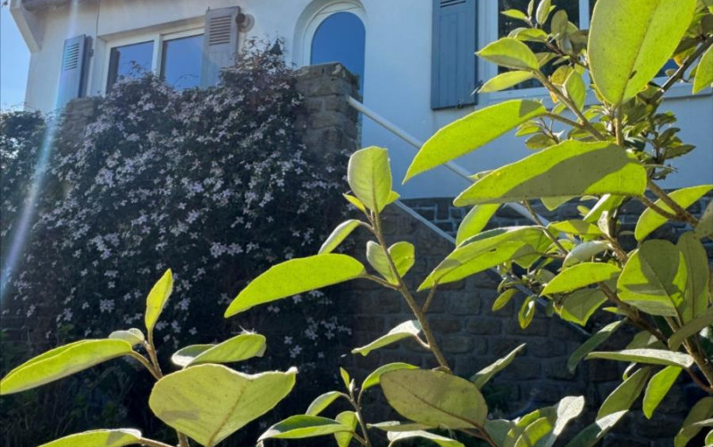 Vente maison CARANTEC (29)